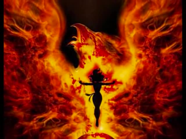 DEXTER - FENIX