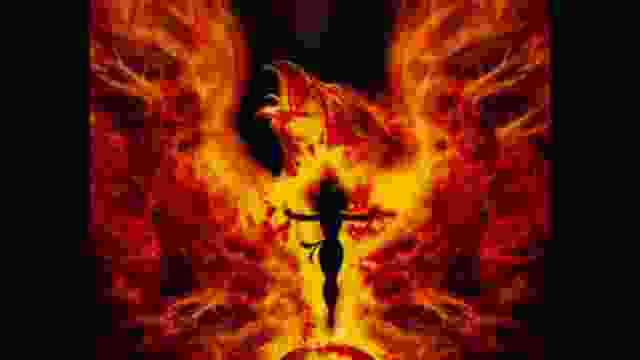 DEXTER - FENIX