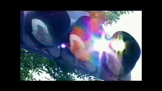 Because--- feat- 中村舞子 LGYankees