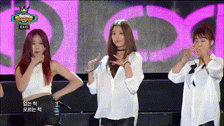 TVPP】EXID - UP&DOWN, 이엑스아이디 - 위 아래 @ Show Champion Live